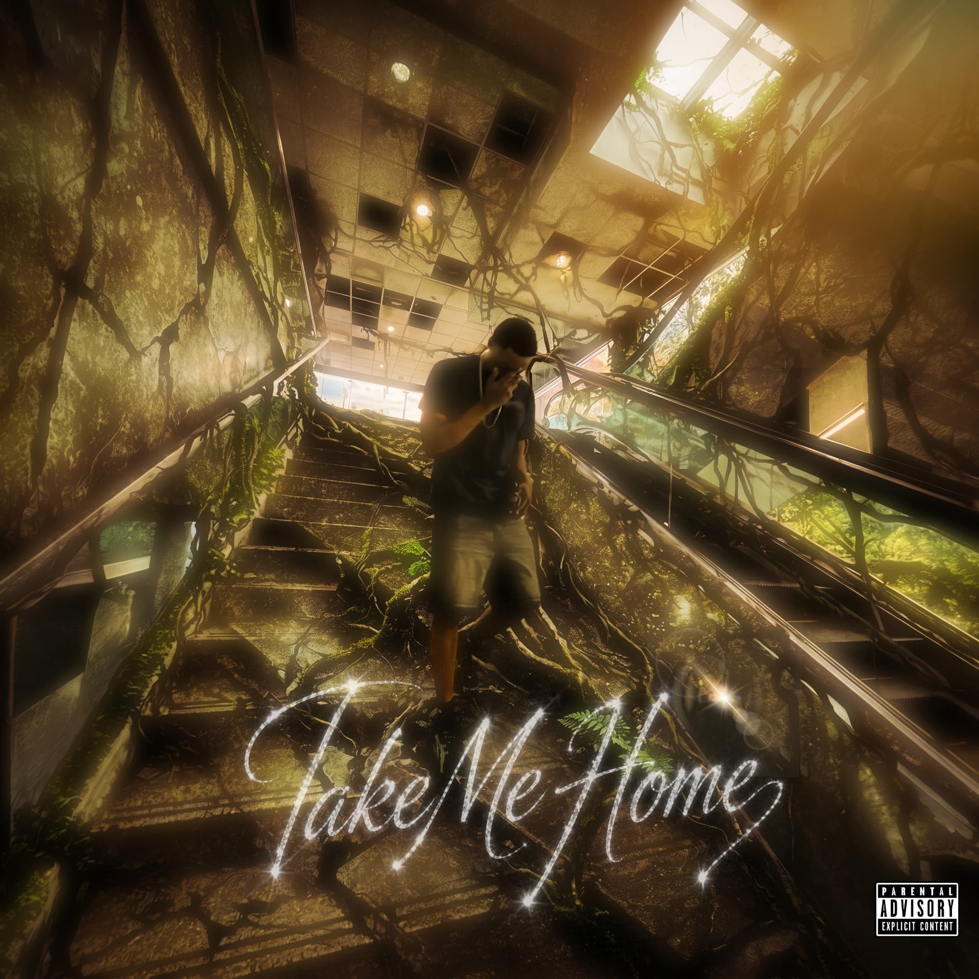 Take Me Home — Independent Artist